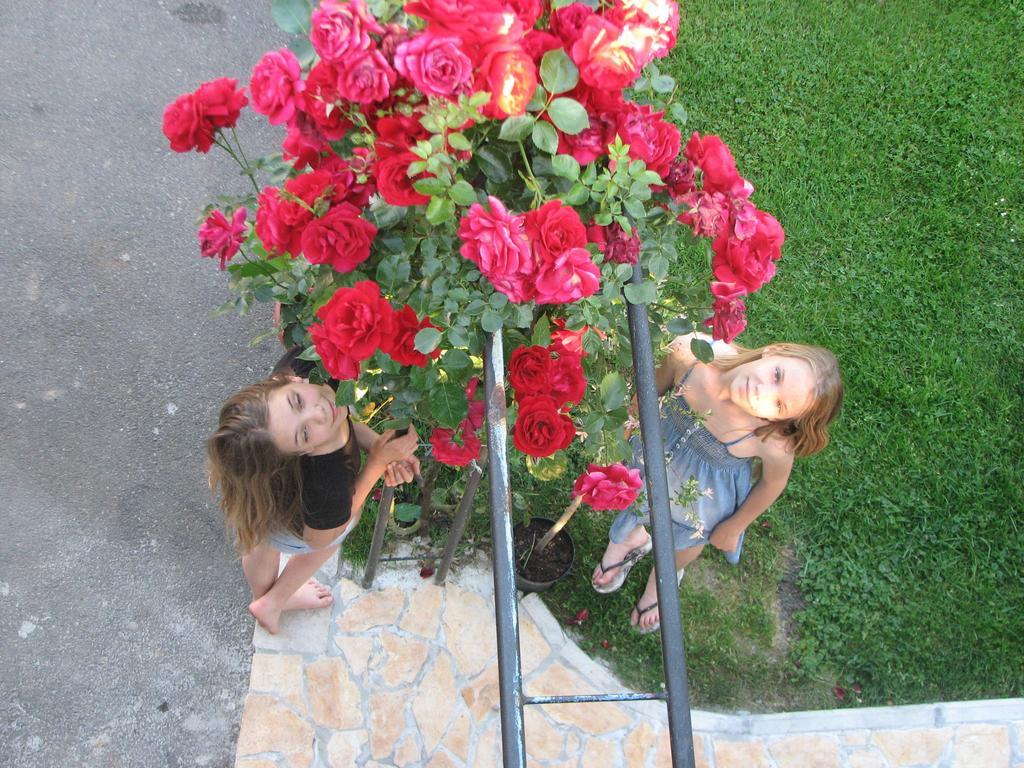 Appartamento Ilija *