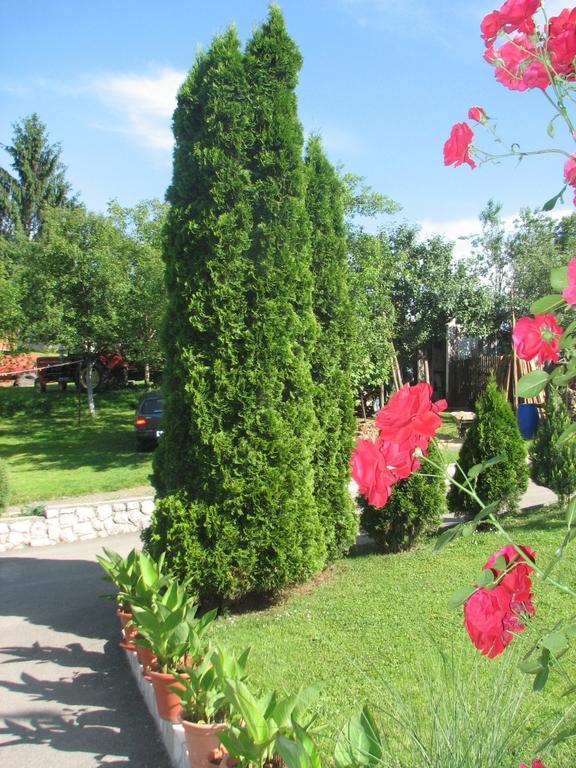 Apartment Ilija Rakovica